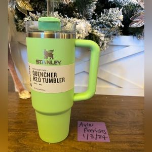 Stanley - Feather Green - 30 oz - Flawless